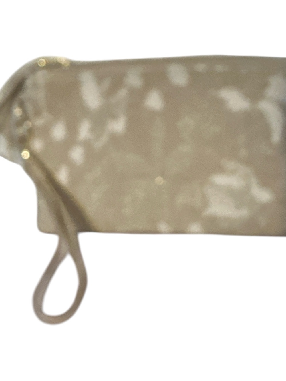 Boutique new Beige Velvet Wristlet Clutch with gold acc metallic tassel bag nice